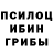 Галлюциногенные грибы Psilocybine cubensis Aruzhan Abdusamat