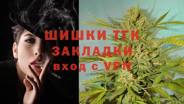 индика Магадан