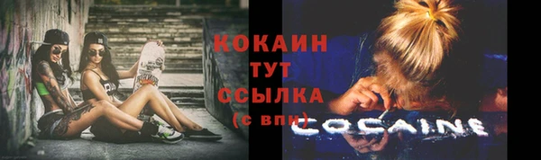 индика Магадан