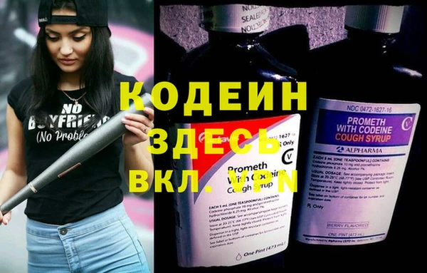 винт Липки
