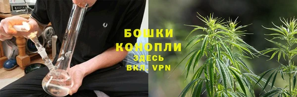 винт Липки