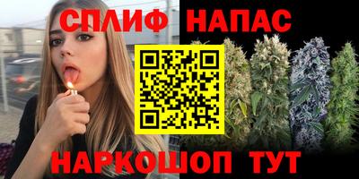 мдма Гай