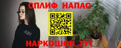 гидра Бийск