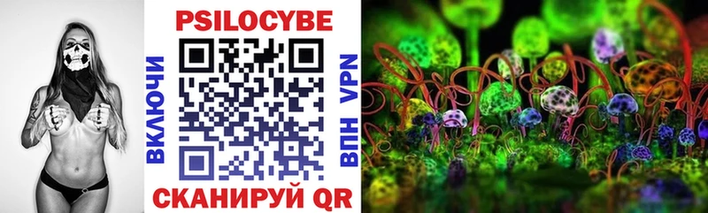 Галлюциногенные грибы мухоморы  Дербент 