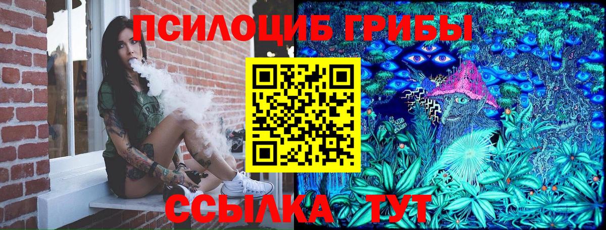 Дербент  купить наркотик  Вход с VPN  Псилоцибиновые грибы Cubensis  Псилоцибиновые грибы Cubensis 